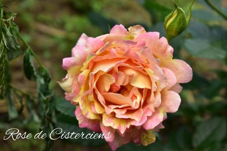 AddText_06-23-02.47.54