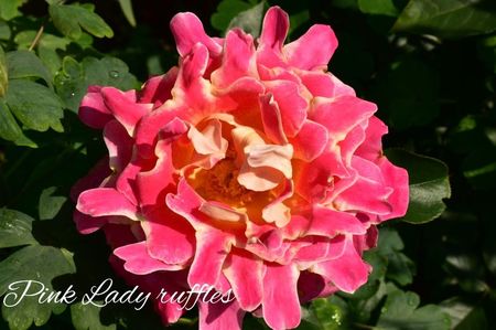 AddText_06-23-02.46.05