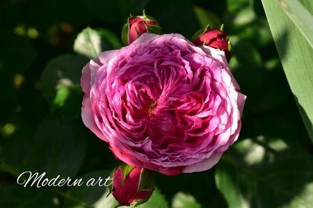 AddText_06-23-02.43.37