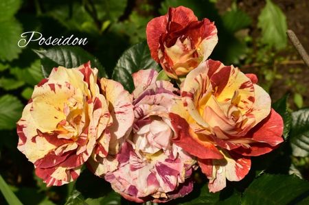 AddText_06-23-02.38.23