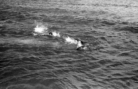 Vacanta La Mare