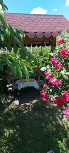 IMG-20210621-WA0025
