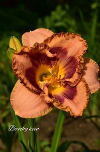 AddText_07-02-02.09.07