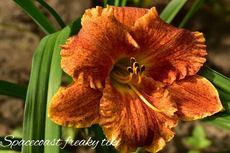 AddText_07-02-02.07.51