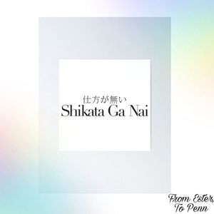 Ester got Penn this "Shikata Ga Nai" poster. In Japanese, this is the phrase to say "it cannot; be helped&quot; and.. well.. to basically let go. Let go, Penn. For real. Move on.
