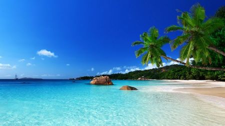 tropical_paradise_beach_ocean_sea_palm_summer_coast_5156x2900