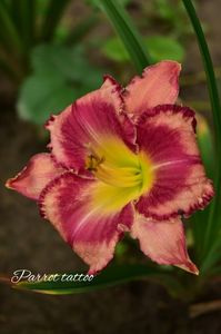 AddText_07-06-02.14.08