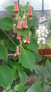 IMG-20210707-WA0024