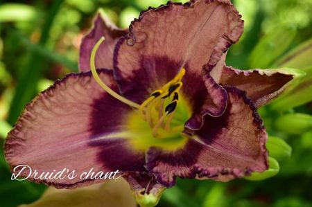 AddText_07-07-12.36.48