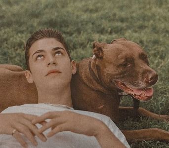 থৣĦғᴛ؟ℬᵉ̶̶ᵃ̶̶ᵘ̶̶ℛᵉ̶ᵍ̶ᵃ̶ʳ̶ᵈ͠ ༈٫ La început îi cuprinde pe amândoi într-o privire obscură, încercând; să priceapă ceva din sobrietatea învăluită în fum gros de țigară. Când se apropiară însă, îi limpezi într-un fel atipic dezlănțuit; păreau victime ale unor curenți de aer cu direcții contrare. Pe când
