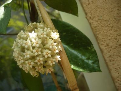 P1490525