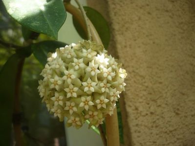 P1490526