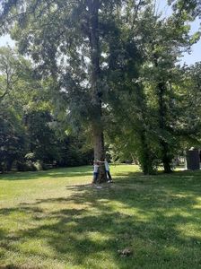 IMG-20210715-WA0010