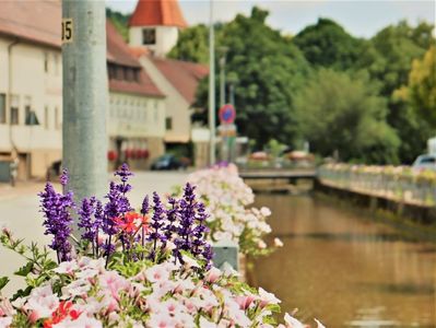fornsbach 1