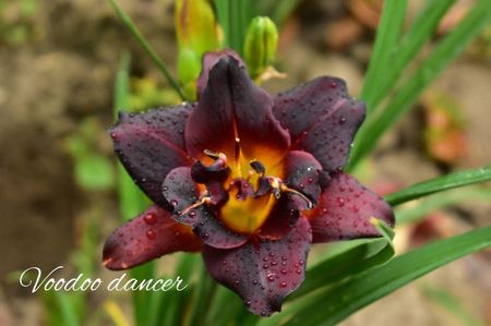 AddText_07-20-02.36.22