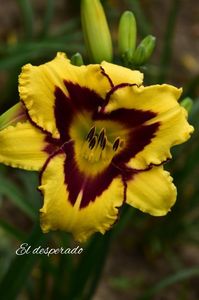 AddText_07-23-03.16.28