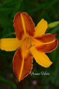 AddText_07-23-03.13.47