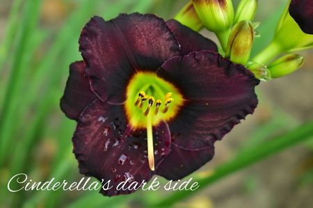 AddText_08-02-09.48.51