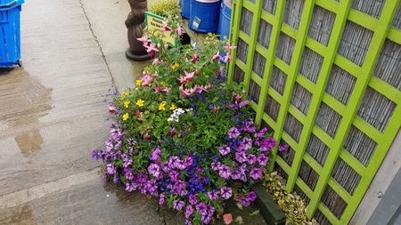 Aranjament floral