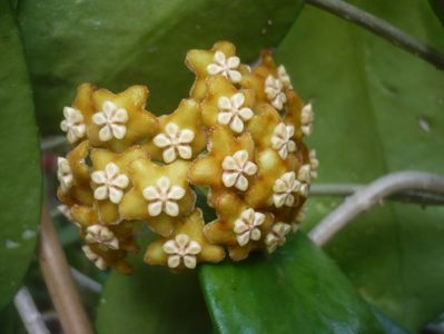 P1500568