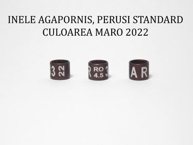 AGAPORNIS 2022 maro