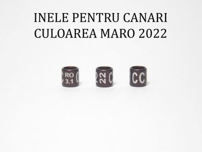 Canari 2022