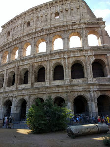 ; Colosseum
