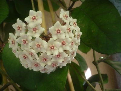 P1500609