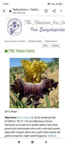 Screenshot_2021-08-04-19-03-13-363_com.android.chrome