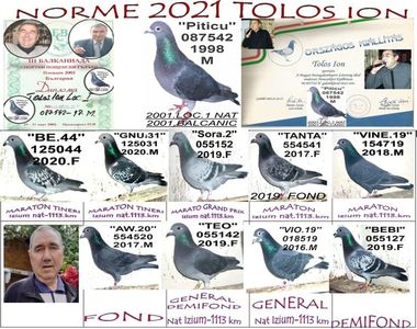 z.NORME 2021 TOLOS