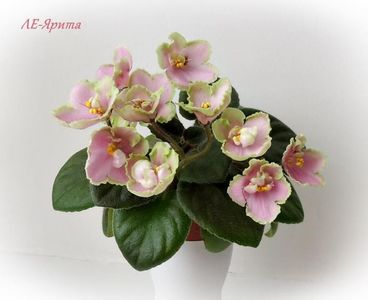 N Yarita  Н. Ярита