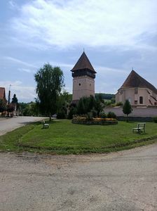 Img.2021.08.04- Seleuș; Com Daneș jud. Mureș
