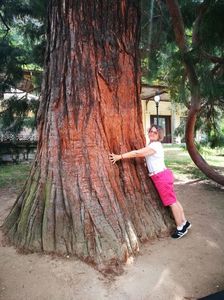 IMG-20210726-WA0017