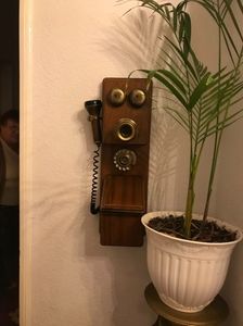 tantica 389