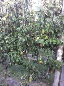 IMG-20210909-WA0060