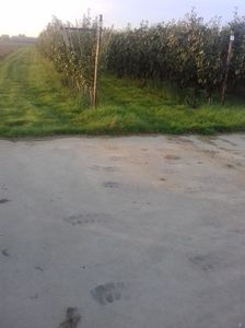 IMG-20210909-WA0110