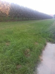 IMG-20210909-WA0111