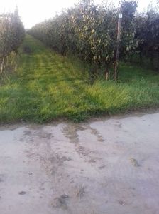 IMG-20210909-WA0112
