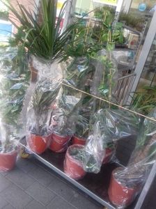IMG-20210909-WA0137