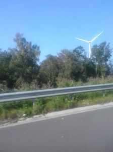 IMG-20210909-WA0134