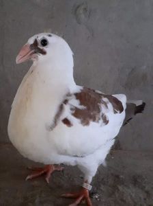received_715785622473096