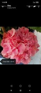 Screenshot_2021-09-18-14-30-37-005_com.whatsapp