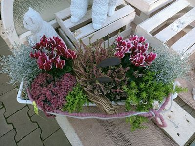 Img. 2021.09.30