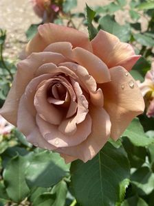 received_321054119578806