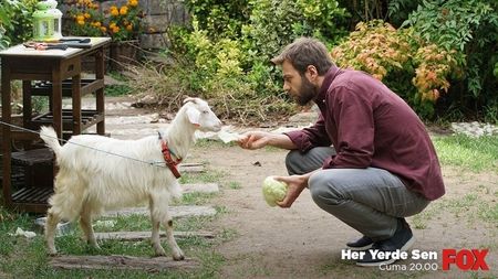 Vedat