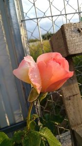 IMG-20190709-WA0023