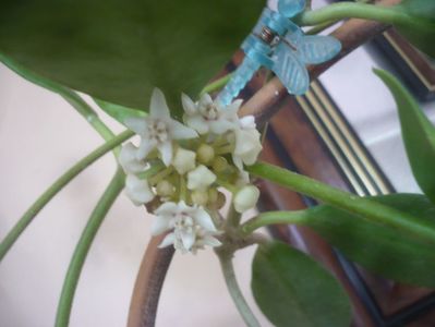 P1510213