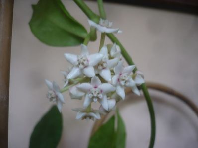 P1510216