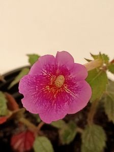 12.10.2021