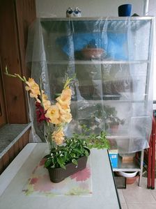IMG20211012161232